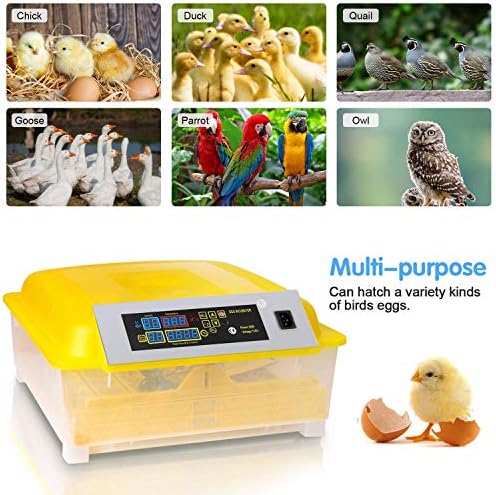 XJZHANG Yumurta Kuluçka makinesi, 46 Yumurta Kuluçka için Tam Otomatik Yumurta Çevirme ve Sıcaklık Kontrolü ile Dijital Kuluçka