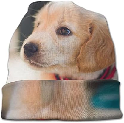 MWQBTEE Köpek Yetişkin Unisex Hımbıl Örgü Şapka Rahat Unisex Moda Sıcak Şapka