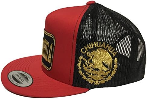 Meksika Chihuahua Logo Federal bir lado 2 Logolar Şapka Kırmızı Siyah örgü